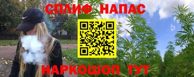дмт Славгород