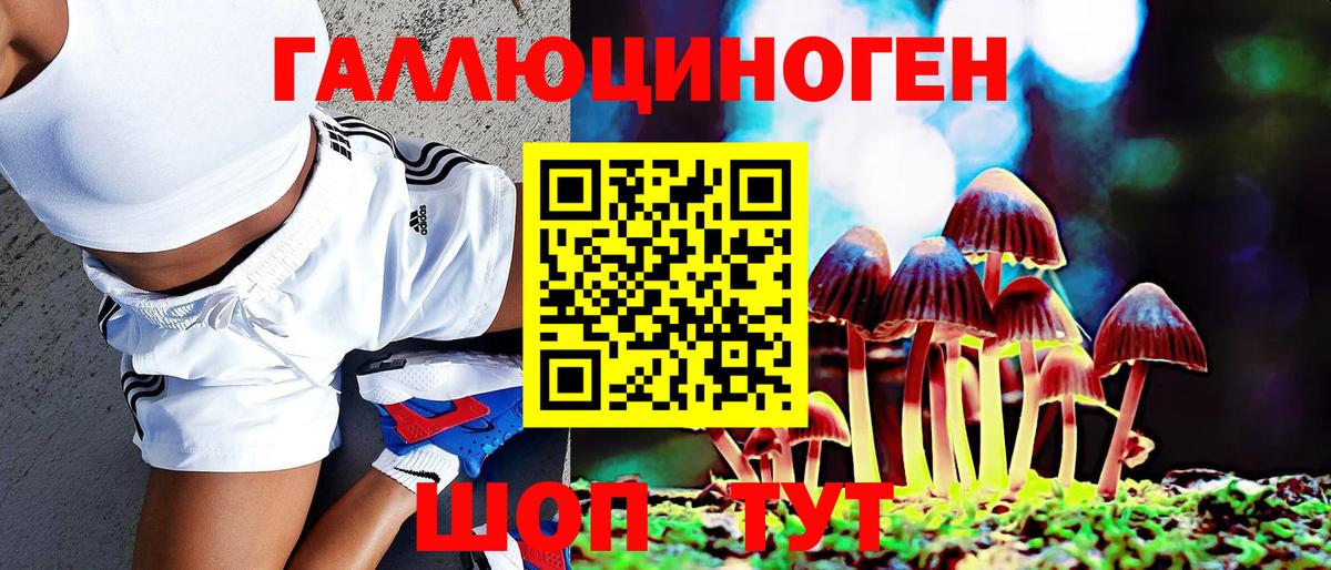 Галлюциногенные грибы Psilocybe  Вход с VPN  Псилоцибиновые грибы мухоморы  Ноябрьск 